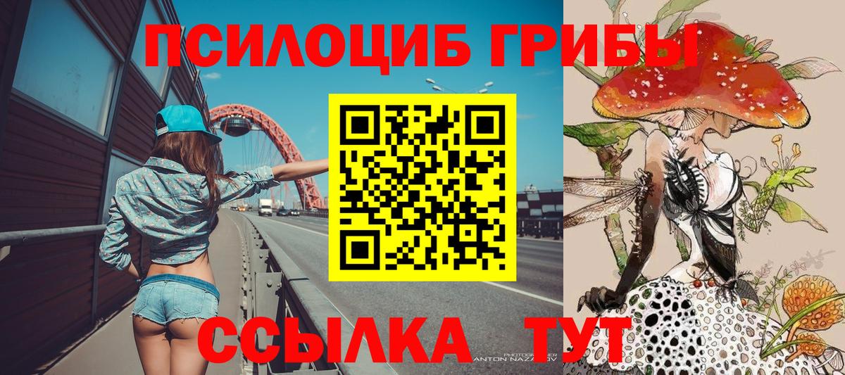 Тулун  Галлюциногенные грибы MAGIC MUSHROOMS  где купить наркотик  Вход с VPN 